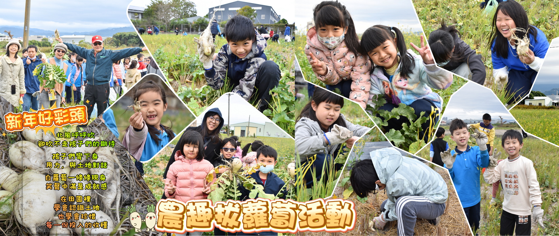 拔蘿蔔體驗活動